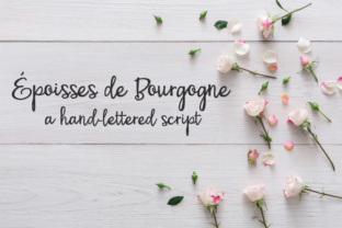 PN Époisses De Bourgogne: A Web Designer’s Guide